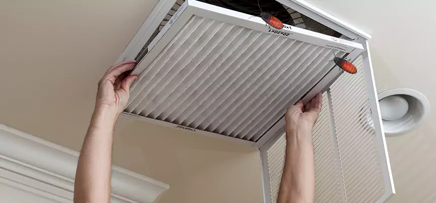 Preventive Cockroach-Proofing for Ducts in North Highlands