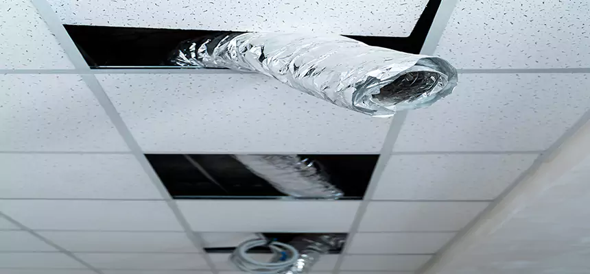 Our Air Duct Pet Hair Removal Services in North Highlands, CA