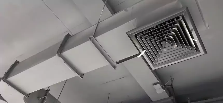 Restorative Allergy Relief Vent Cleaning – Coil, Blower & Housing Detail in North Highlands