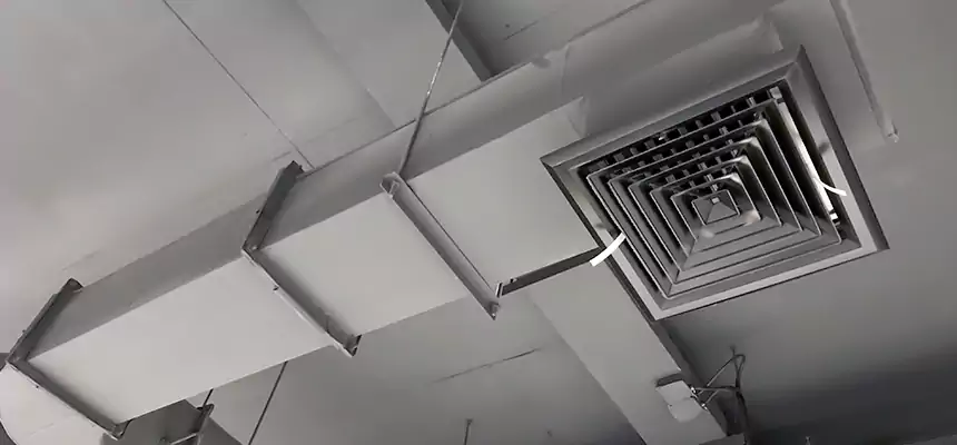 Our Pest Removal From Ducts Services in North Highlands, CA