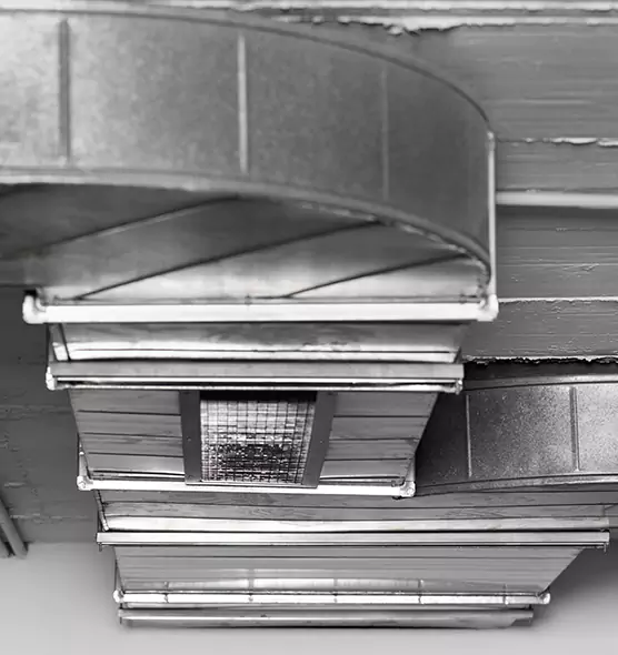 Professional Air Duct Pet Hair Removal in North Highlands, CA